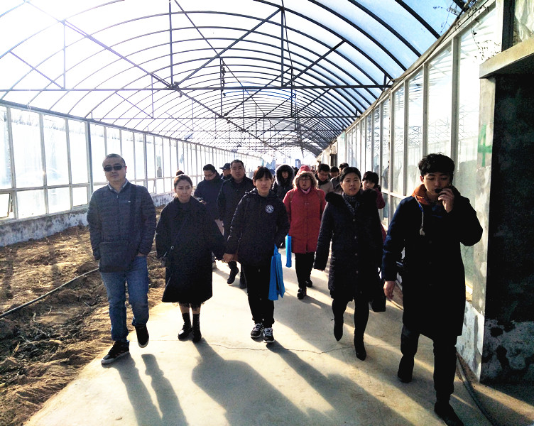 IMG20181228105613_副本.jpg IMG20181228105613_副本.jpg