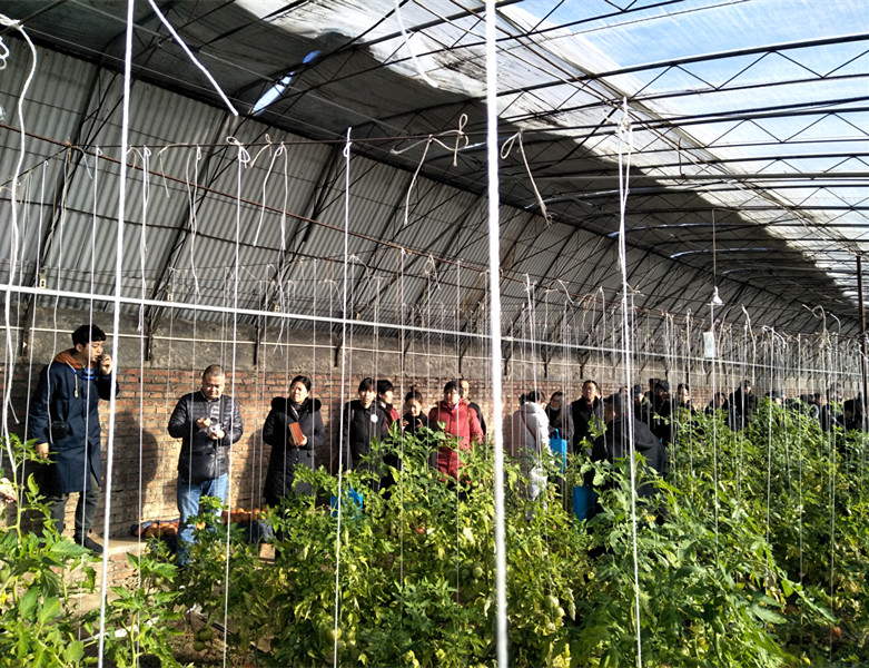 IMG20181228110049_副本.jpg IMG20181228110049_副本.jpg