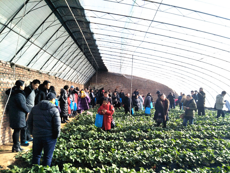 IMG20181228112000_副本.jpg IMG20181228112000_副本.jpg