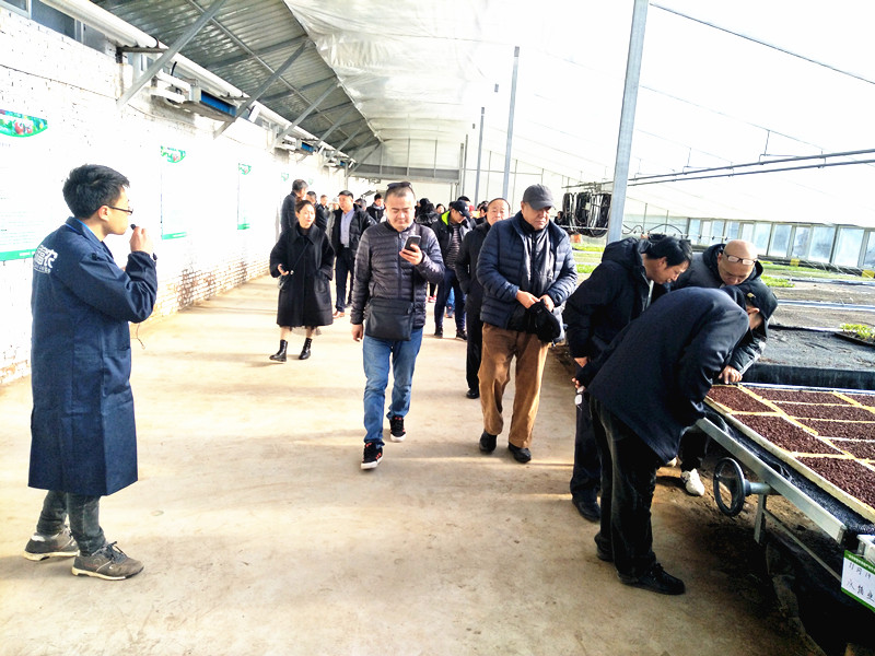 IMG20181228114129_副本.jpg IMG20181228114129_副本.jpg