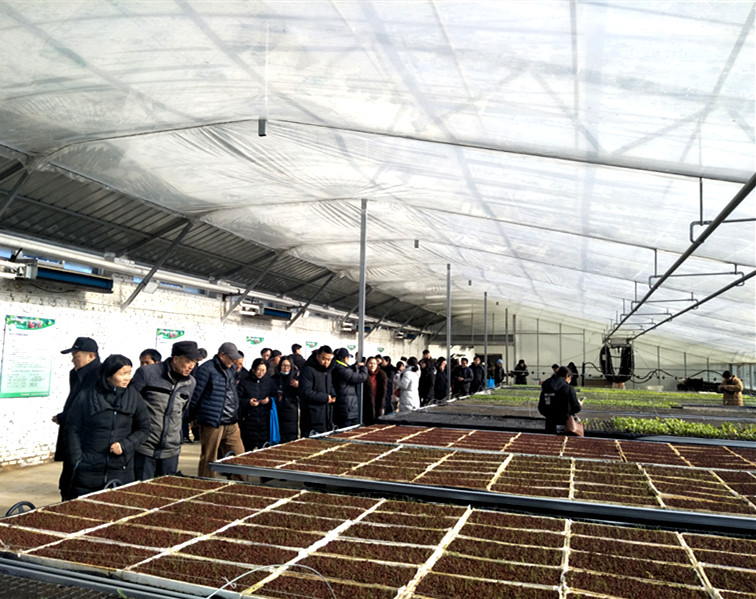 IMG20181228114220_副本.jpg IMG20181228114220_副本.jpg